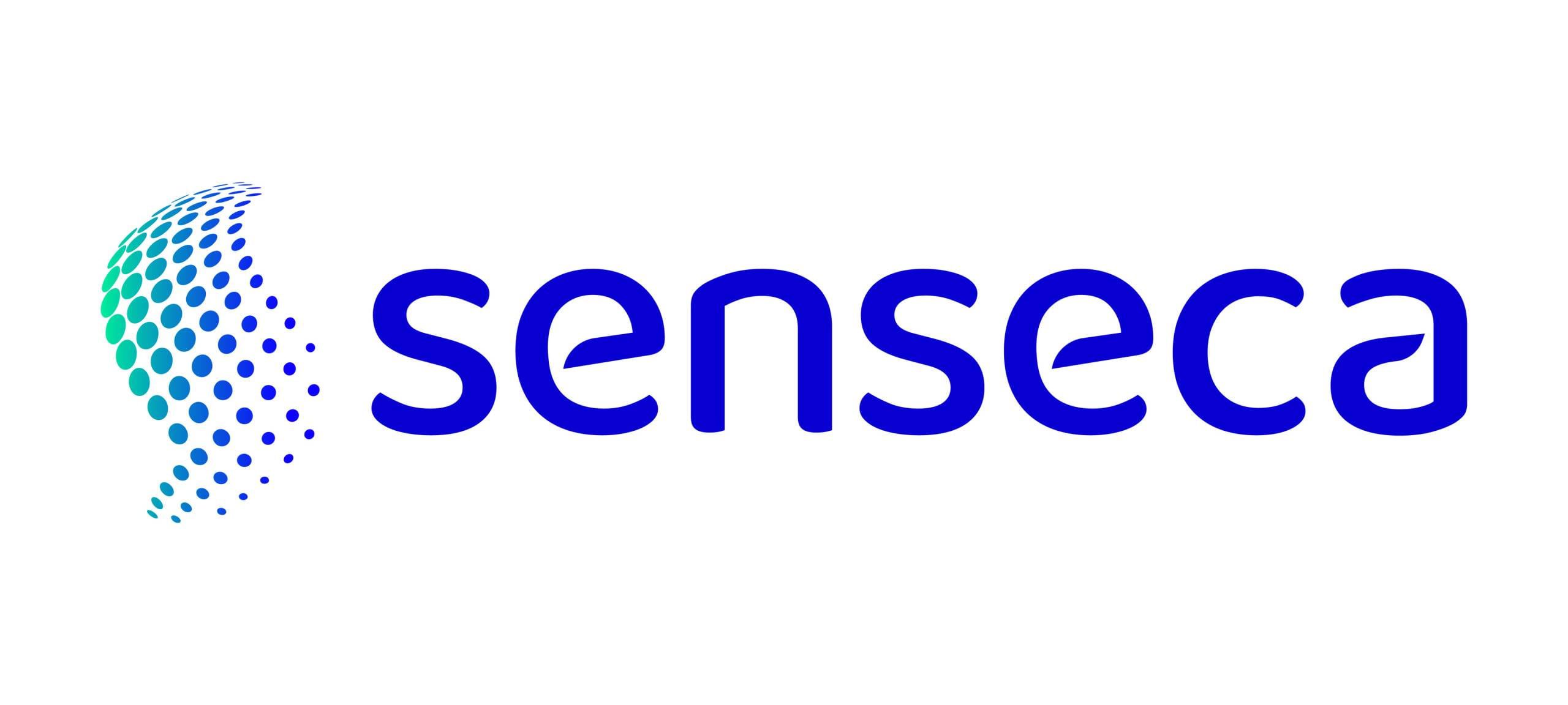 Read more about the article Senseca